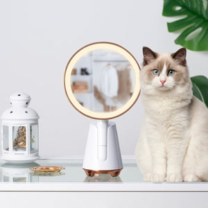 
                  
                    Load image into Gallery viewer, Handheld 6 inch Wireless Charge Vanity Mirror | FENCHILIN - FENCHILIN
                  
                