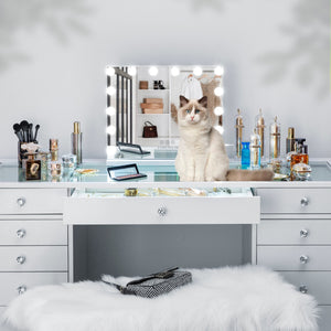
                  
                    Load image into Gallery viewer, Hollywood Vanity Mirror Slim Metal Frame Design XL (19.7&amp;quot;x 16.5&amp;quot;) | 14 Dimmable LED Bulbs FENCHILIN - FENCHILIN
                  
                